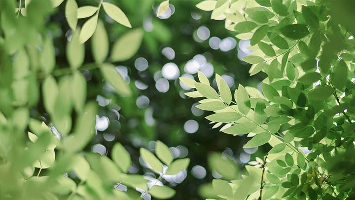 为什么有人能彻底关闭搜狗输入法广告，而你总是失败？原因太亮了！ 二