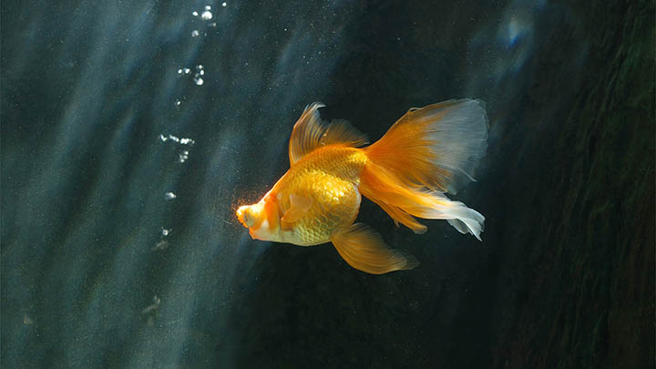 我整理了100个超实用符号，用搜狗输入法你也能轻松搞定 二