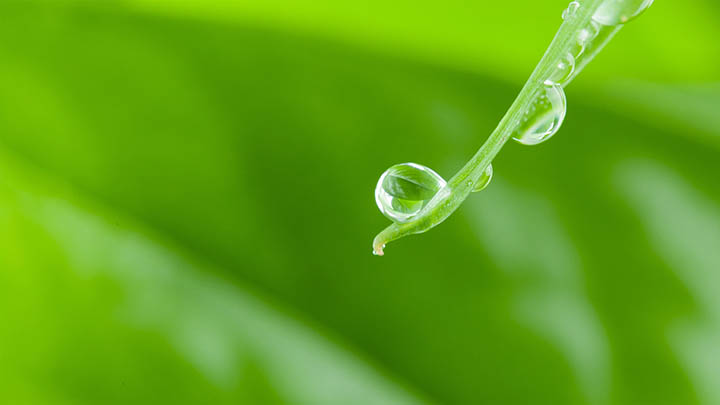 刚换sogou输入法，这些神操作竟让人直呼后悔没早点用！ 一