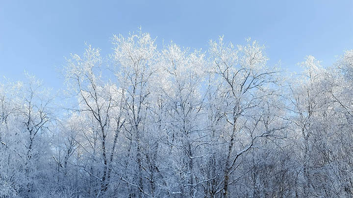 刚换sogou输入法，这些神操作竟让人直呼后悔没早点用！ 二