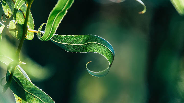 别再装傻了！电脑版搜狗输入法下载才是高效输入的秘密武器 二