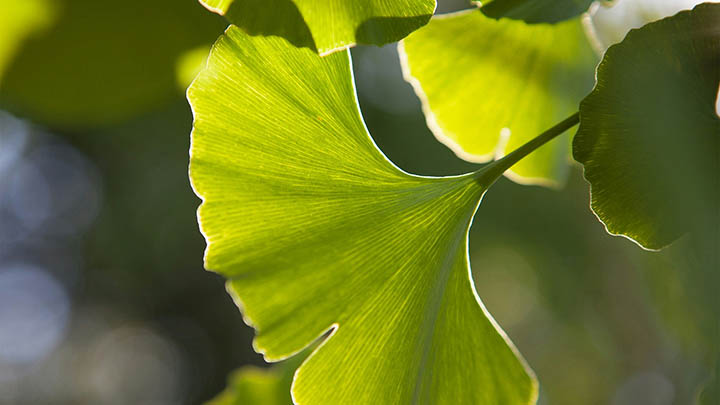 我试过3款输入法，最后却只下载了搜狗输入法！原因竟是这些功能秒杀一切 一