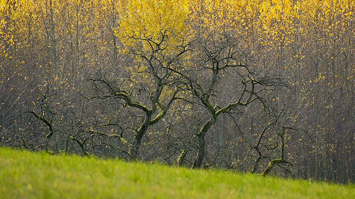 搜狗输入法电脑版到底有多强？功能强悍让人停不下来！ 二