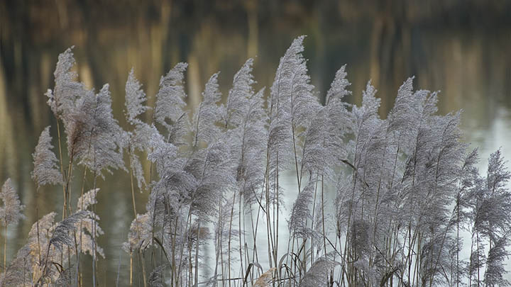 掌握这三招，解决搜狗拼音输入下载安装问题轻而易举 二