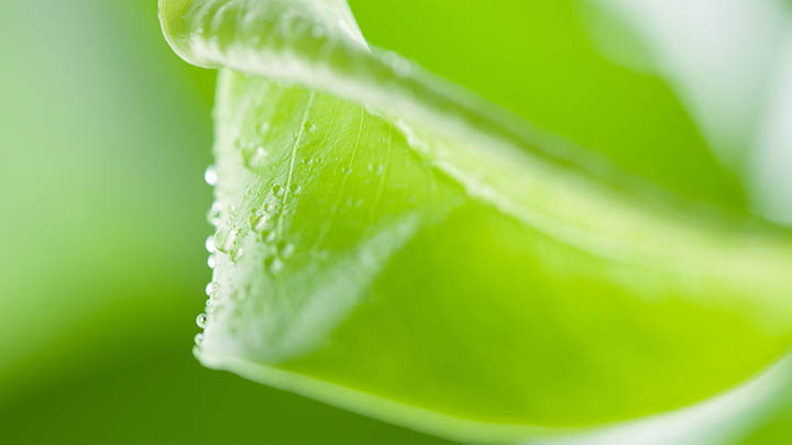 搜狗打字法值得安装吗？下载神器让输入效率飙升！ 二