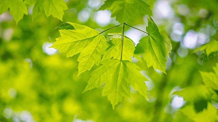 99%的人都不知道，搜狗输入法官方网站竟然藏在这里！ 二