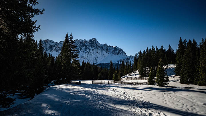 掌握这5招，快速下载搜狗拼音输入法智慧版，尽享智能输入新体验 二