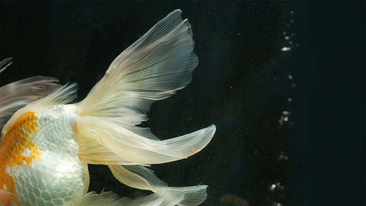 搜狗拼音打字下载，这个实用软件你装对了吗？ 一