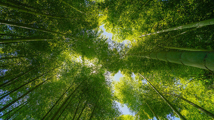 搜狗输入法怎么下载安装？网友的这个操作实在亮了！ 一