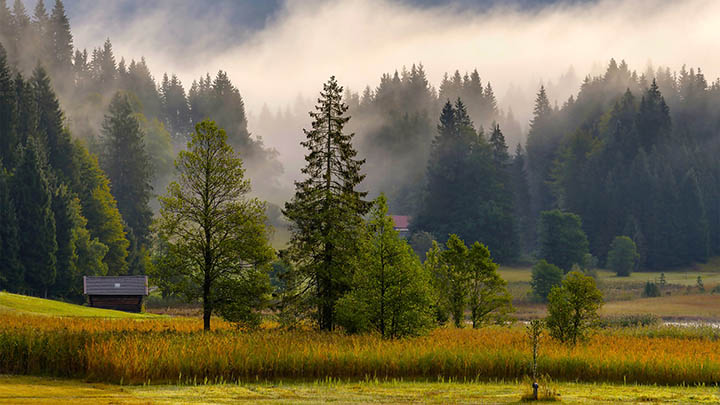 99%的人都在问，搜狗输入法下载后怎么快速开启？秘诀竟然这么简单！ 一