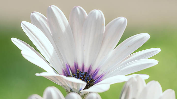 学会这几招，轻松搞定搜狗输入法下载安装和免费下载操作 一