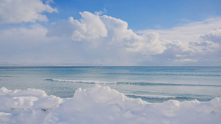 学会这几招，轻松搞定搜狗输入法下载安装和免费下载操作 二