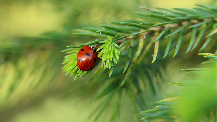 绝大多数人都在用！搜狗拼音输入法下载全新官方版本，轻松提升打字速度 一