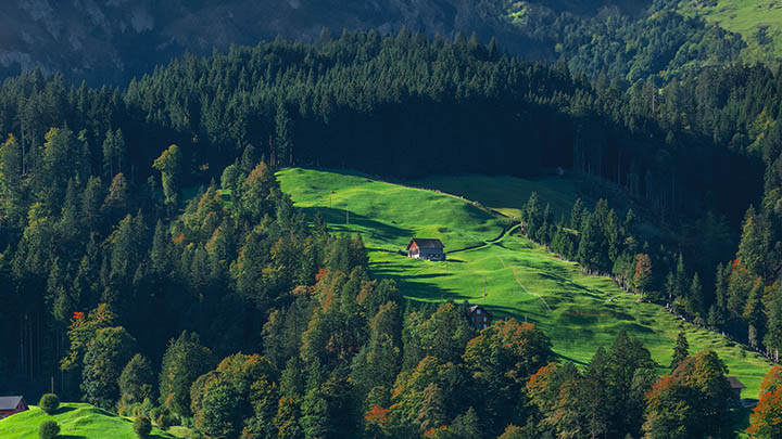 这个安装技巧，90%的人不知道！搜狗拼音输入法瞬间搞定 一