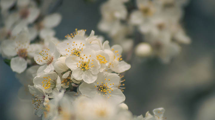 99%的人都忽略了这个秘籍，狗输入法搜狗输入法下载安装一步到位！ 二