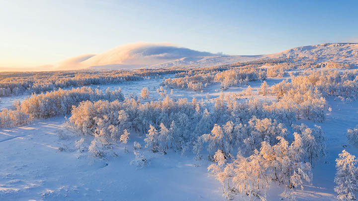 搜狗拼音输入法手机版来了！免费新版本升级亮点真的顶 二
