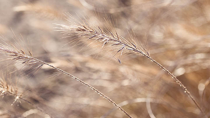 搜狗输入法官网地址在哪？官方入口全解析 一