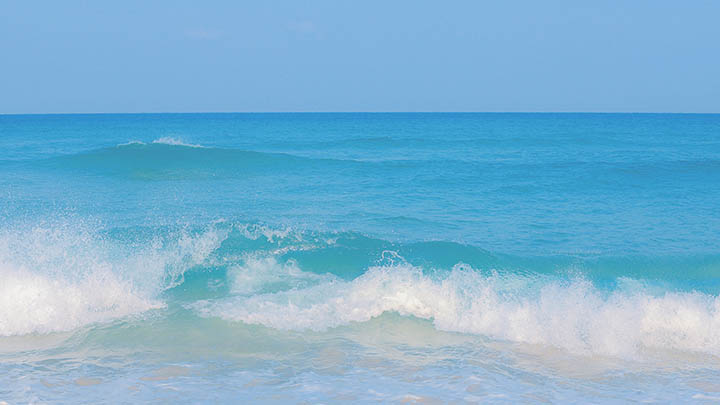 当大家都说谷歌强，搜狗默默放了个大招！ 一