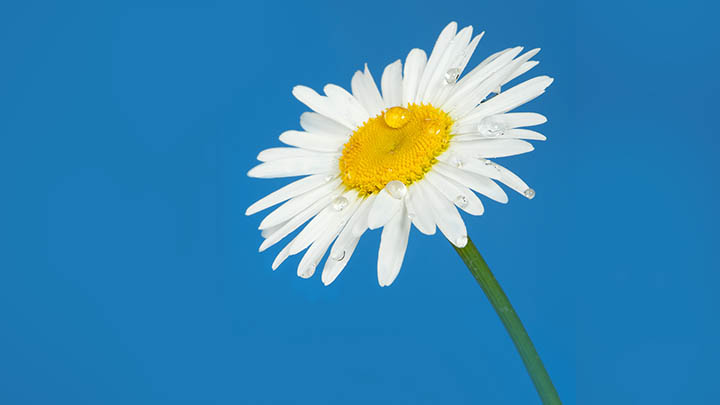 99%的人都在争论，讯飞和搜狗输入法到底谁更好？ 二