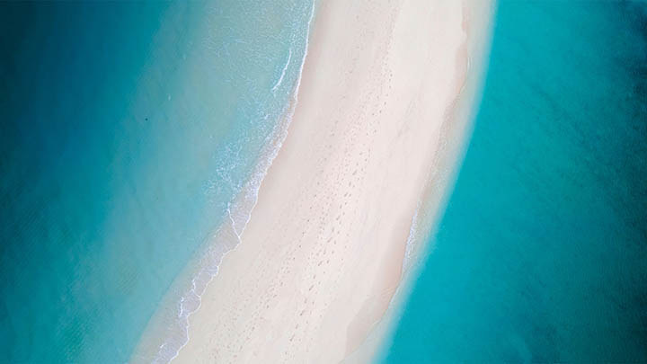 搜狗官网首页入口在哪？网友这一发现太实用了！ 一