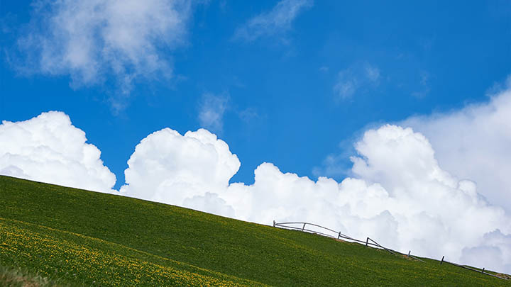 逛了搜狗官网36次，终于找到了隐藏功能！谁不想试试？ 二