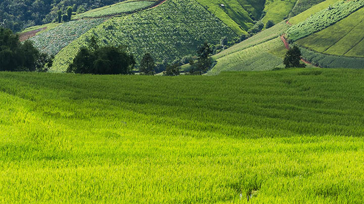 下载搜狗输入法的人都在用这个方法，你还不知道？ 一