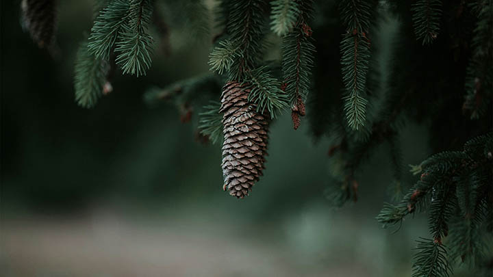 不懂拼音输入法的小技巧用搜狗拼音输入法电脑版就能全搞定！ 一
