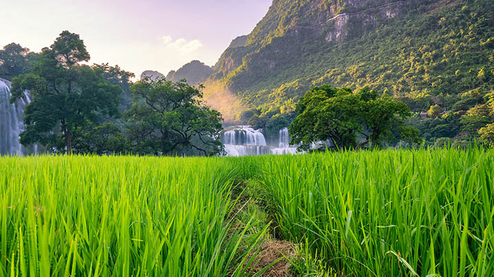 用了3个月才发现，搜狗输入法的这些设置居然还能提速50% 二