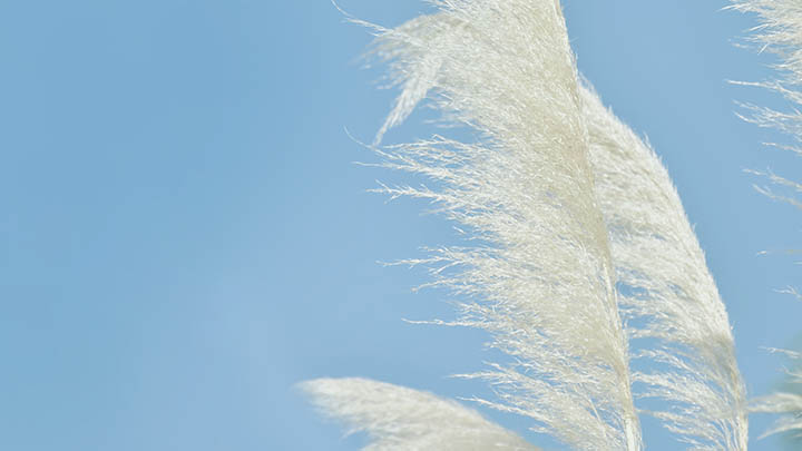 拼音总是带空格？搜狗输入法的隐藏设置让人恍然大悟！ 一