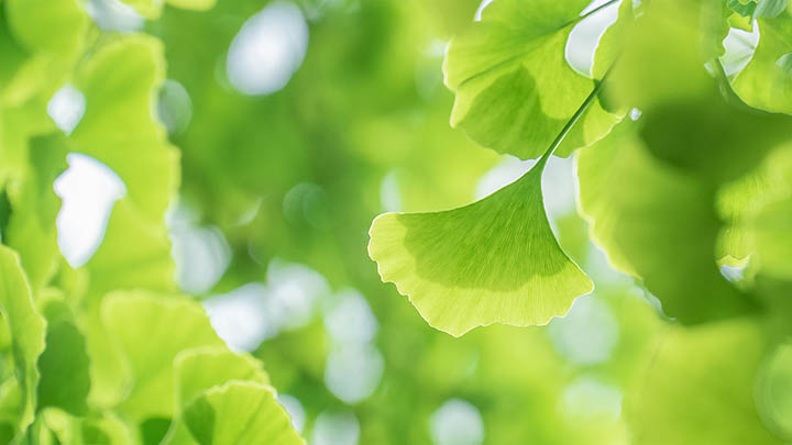 掌握这3个技巧，马上学会用搜狗输入法拼音快速打字 一