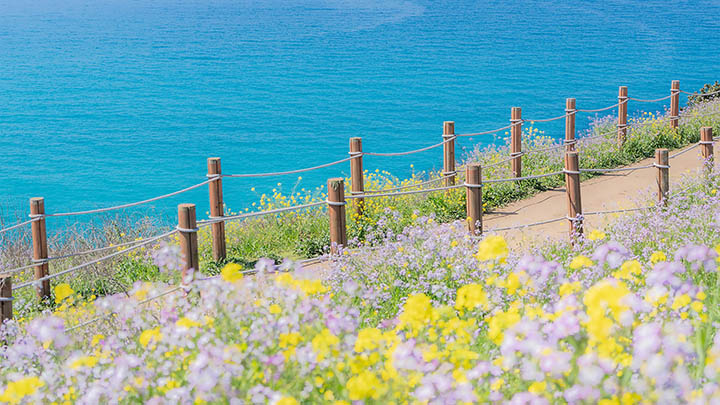 竟然这么简单，搜狗输入法全拼设置全攻略！ 一