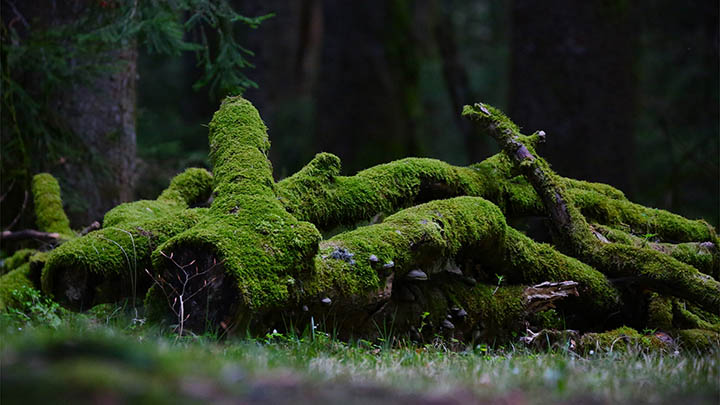 搜狗全拼和双拼差别在哪？打字效率提升只需学会这一点！ 一