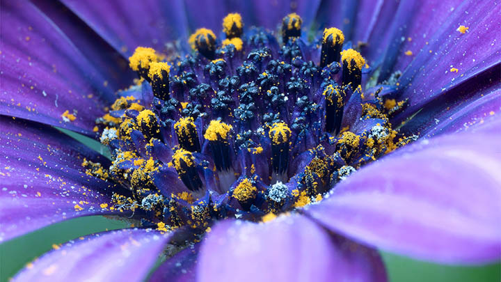 全拼还是双拼？90%的人都没搞懂搜狗输入法的真正区别！ 二