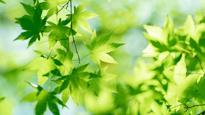 用搜狗输入法拼音打字的人都忍不住点进来看！ 一