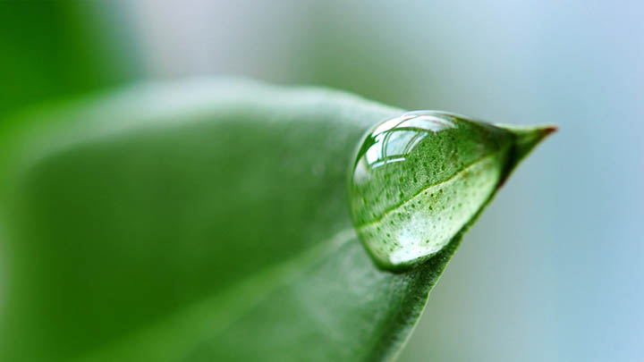 用搜狗全拼还是双拼？教你轻松切换高效输入模式！ 二